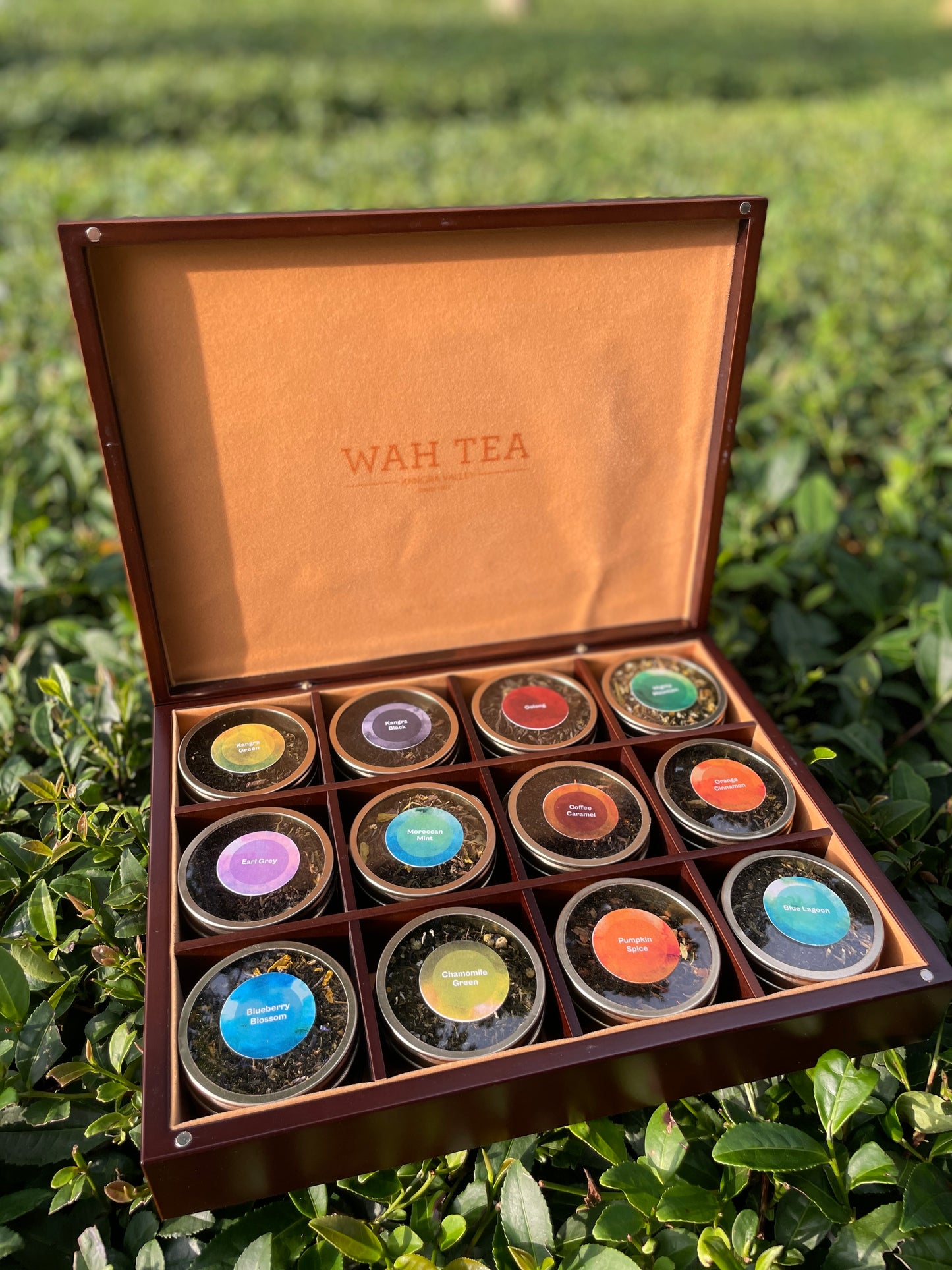 The Collector's Edition
