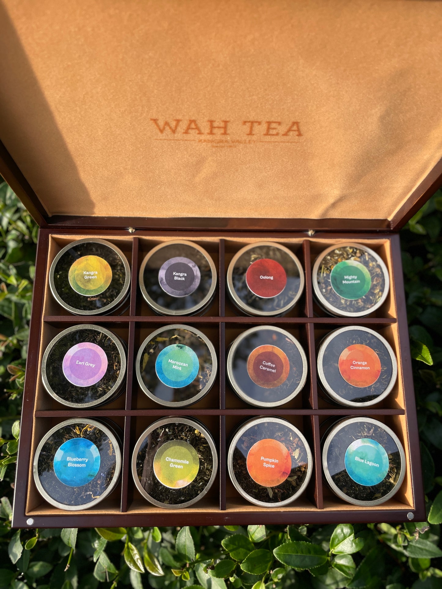 The Collector's Edition