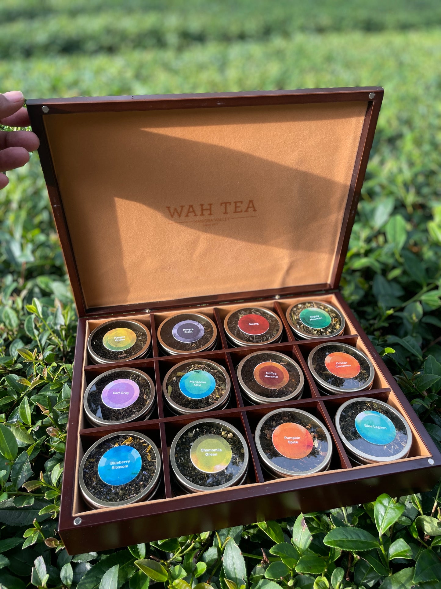 The Collector's Edition