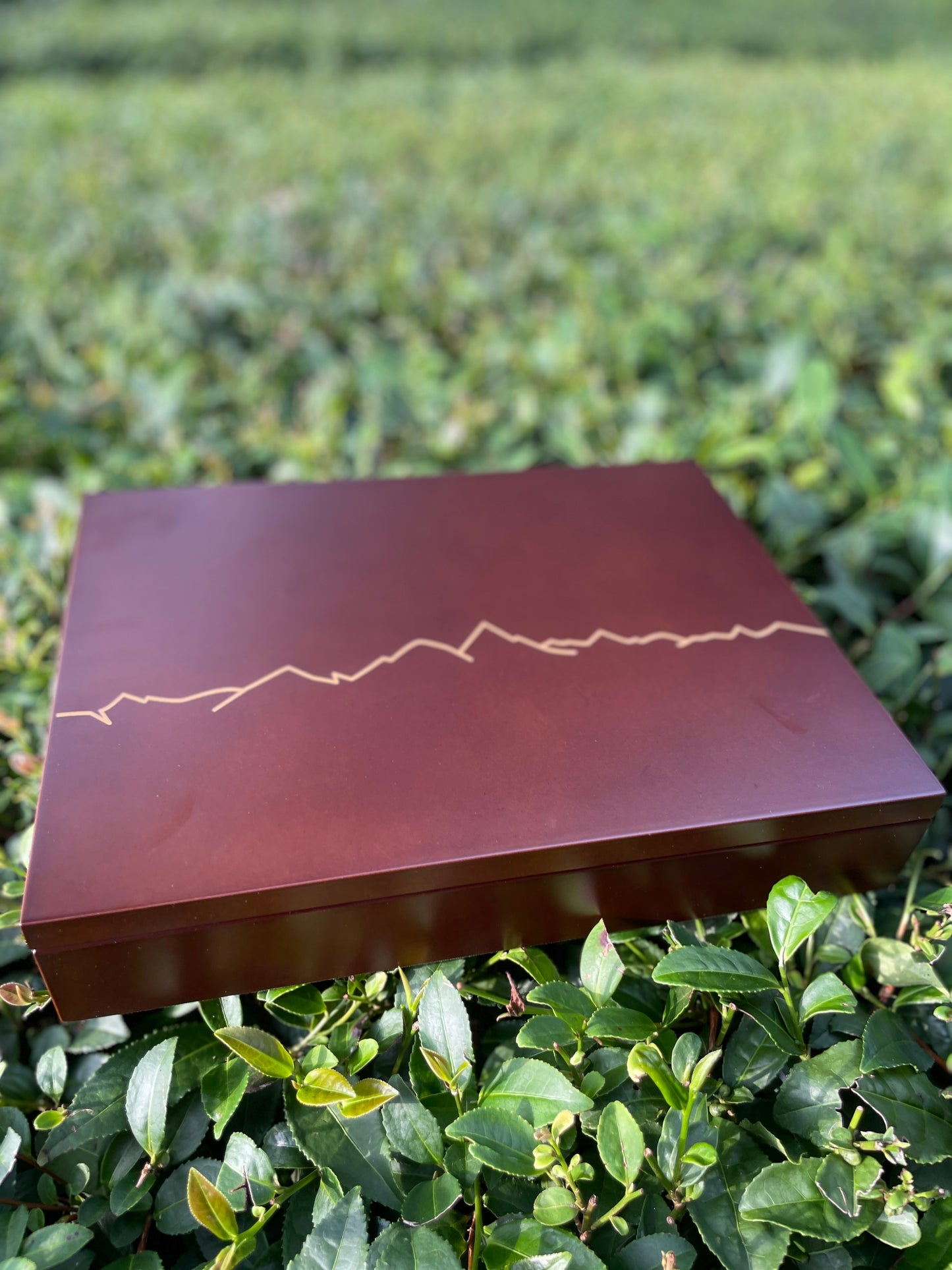 The Collector's Edition