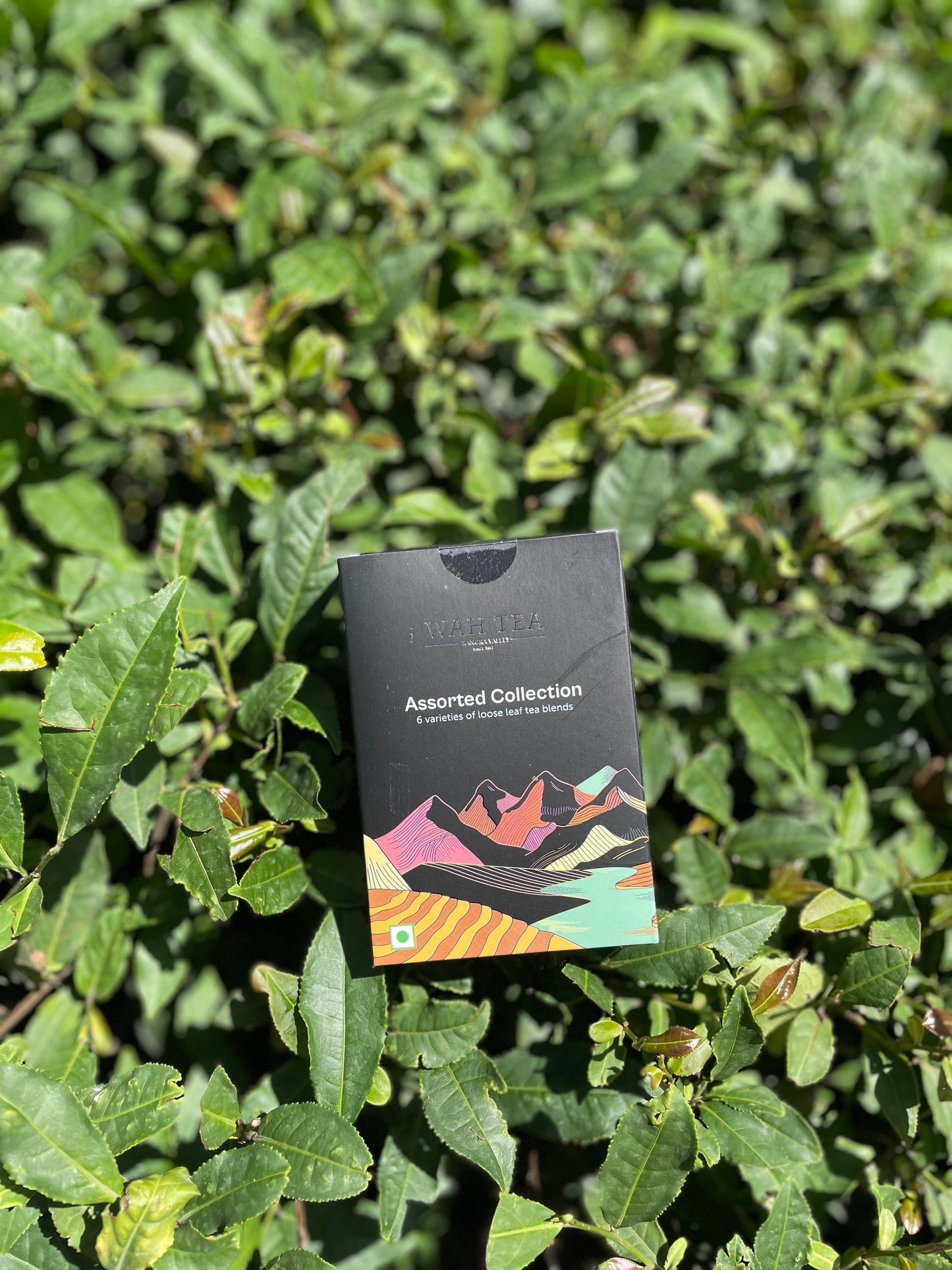 Assorted Collection · 6 Loose Leaf Teas · 10g Each