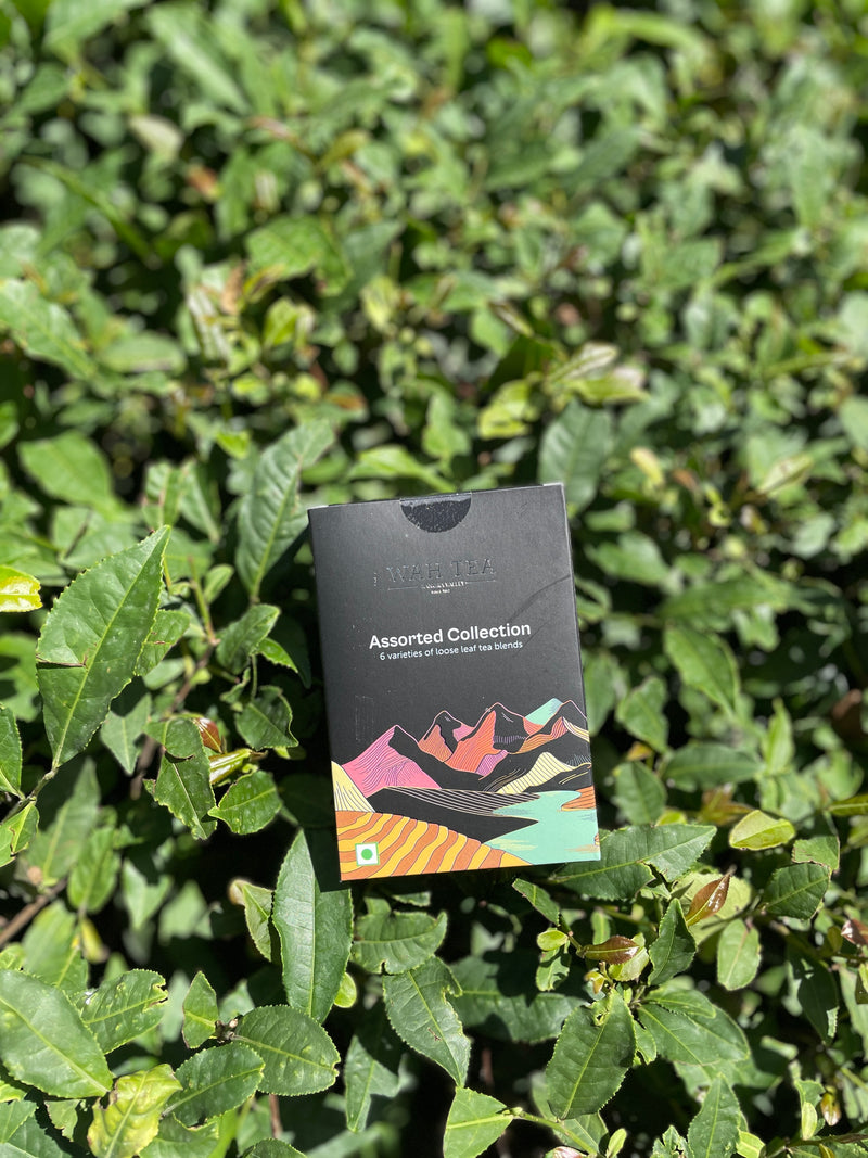 Assorted Collection · 6 Loose Leaf Teas · 10g Each