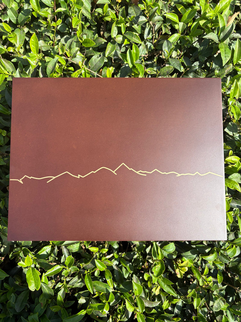 The Collector's Edition