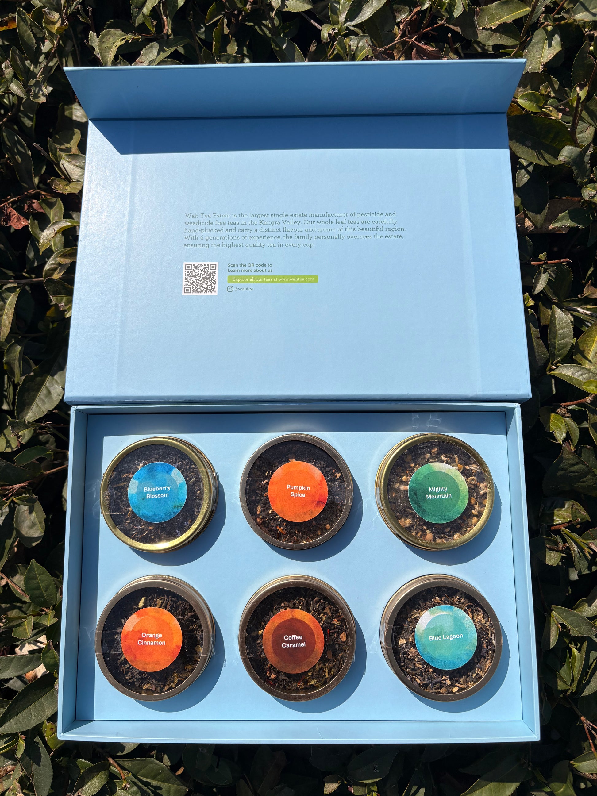 The Premium Collection - Shop Wah Tea