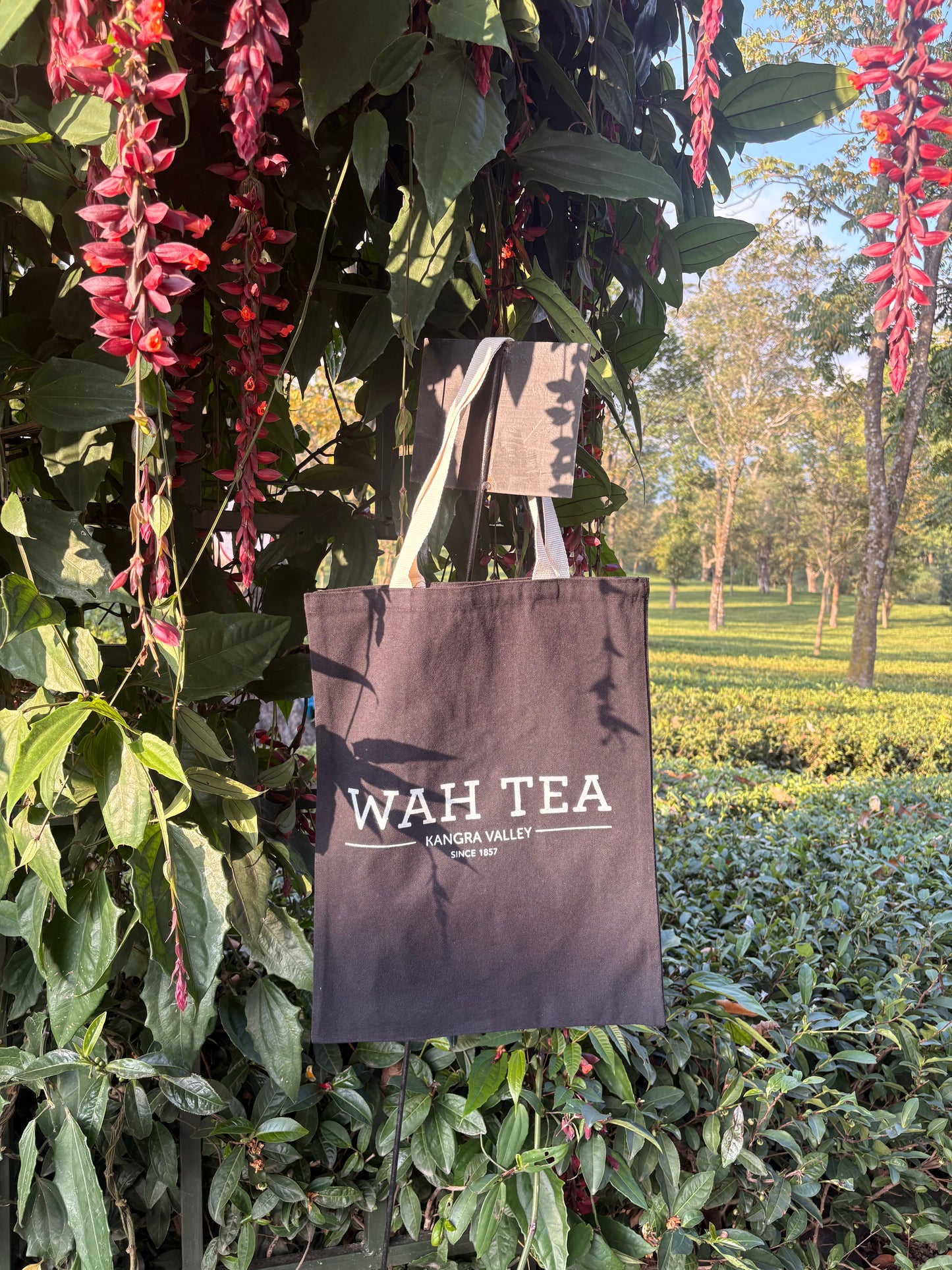 The Tote