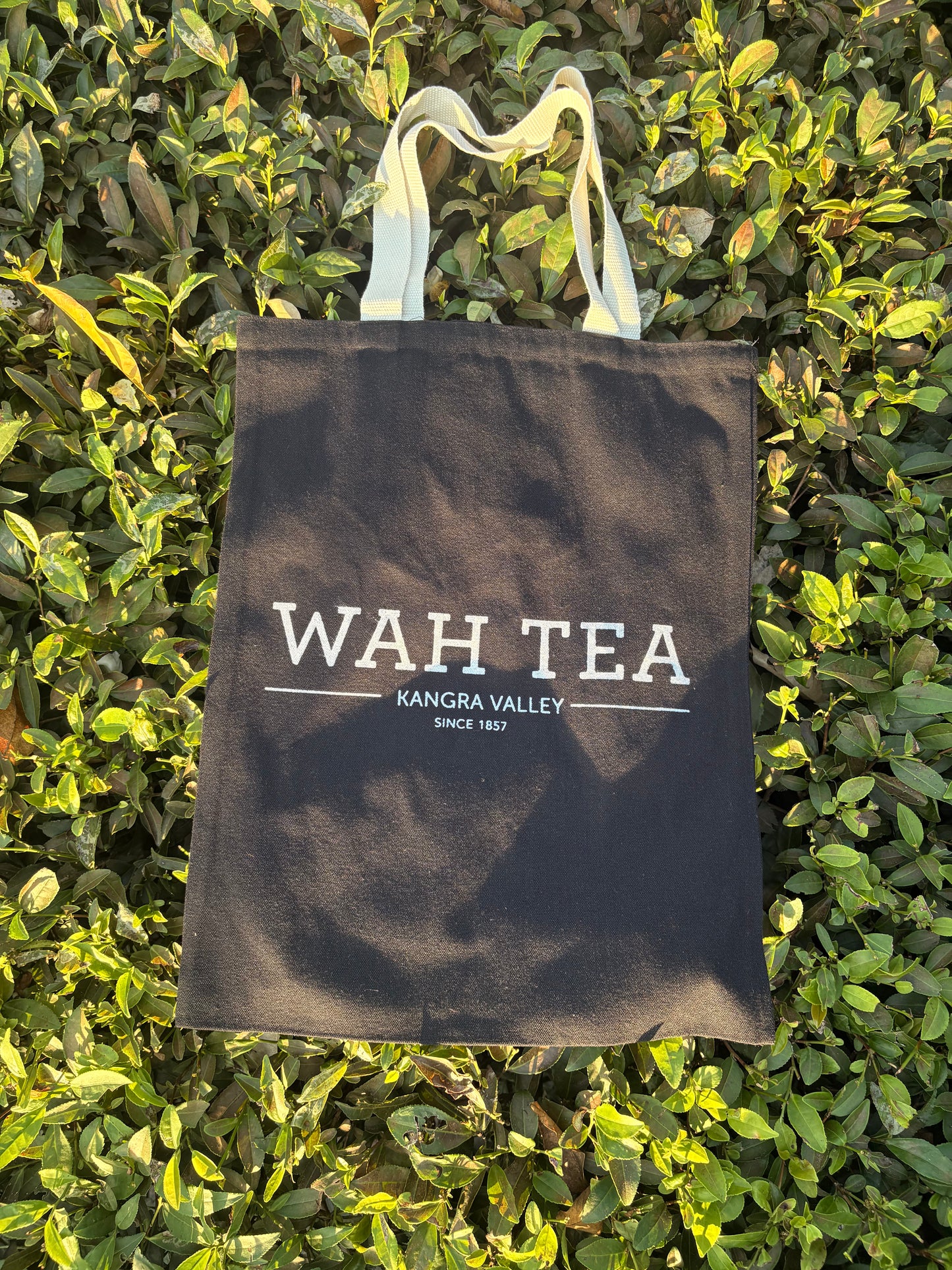The Tote