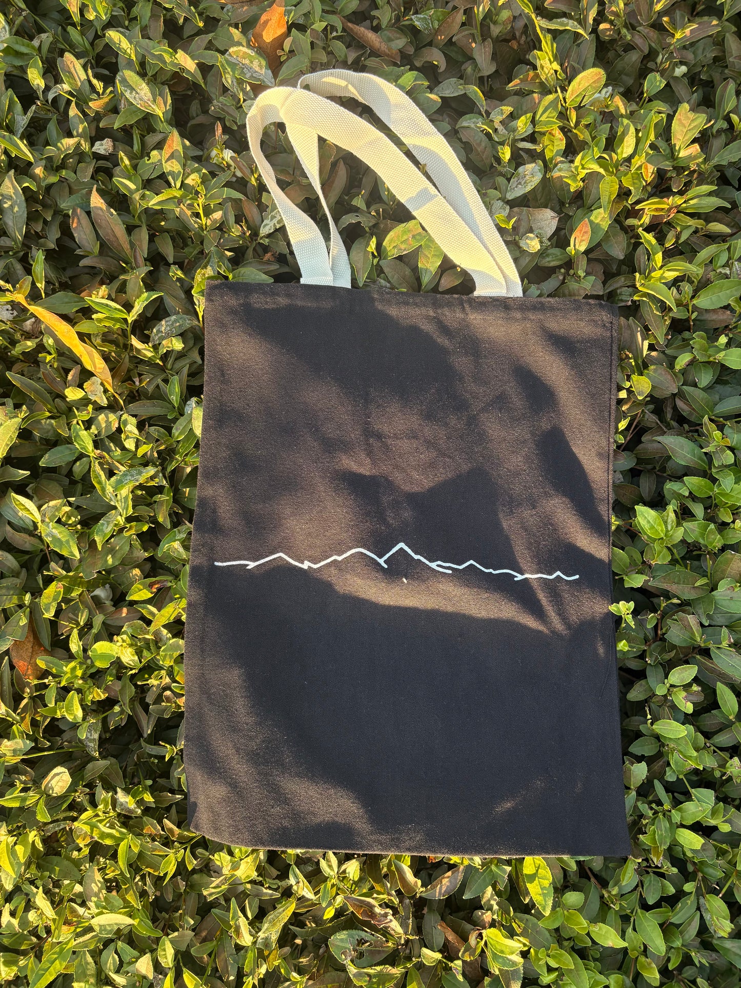 The Tote