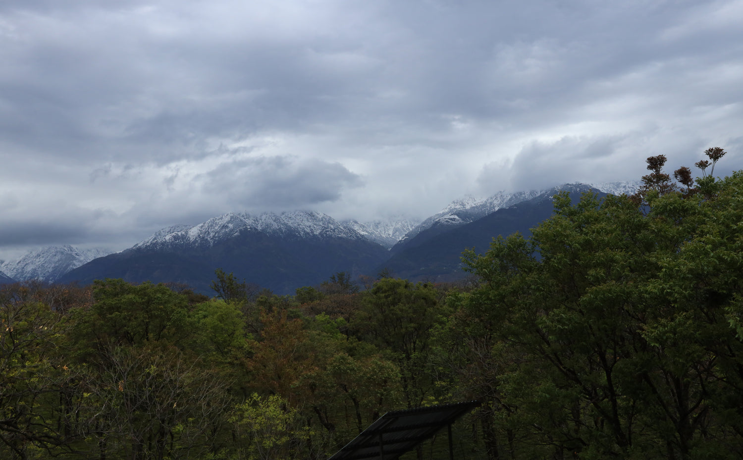 Wah Tea estate view with the mountains behind